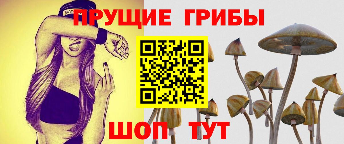 Галлюциногенные грибы Psilocybe Старая Купавна