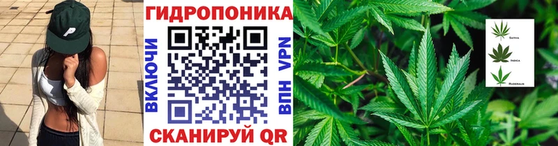 где можно купить наркотик  kraken зеркало  Конопля SATIVA & INDICA  Старая Купавна 